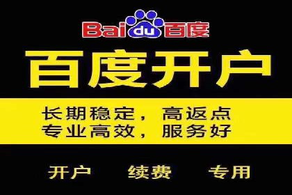 百度推广效果案例解析